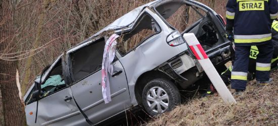 Koszmarny wypadek. Roztrzaskany samochód i liczne obrażenia kierującej (ZDJĘCIA)
