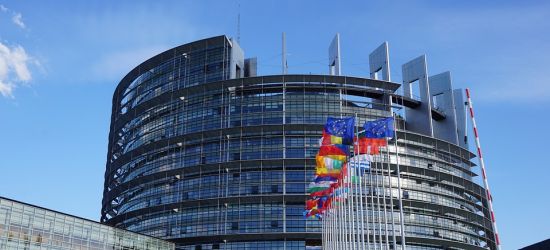 EUROWYBORY: PiS niemal z połową mandatów. Pozostali w tyle (SONDAŻ)