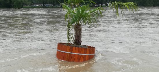 SANOK: Plaża zalana. Palma w wodzie (VIDEO, ZDJĘCIA)