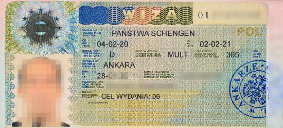 GRANICA: Fałszywe oświadczenia powierzenia pracy oraz wiza
