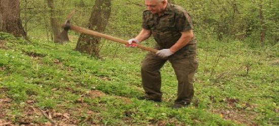 Leśny Kompleks Promocyjny „Lasy Bieszczadzkie” powiększony