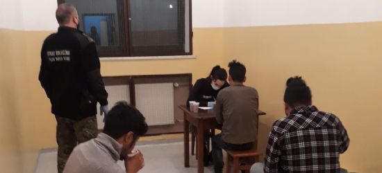 Nielegalni migranci zatrzymani w Bieszczadach