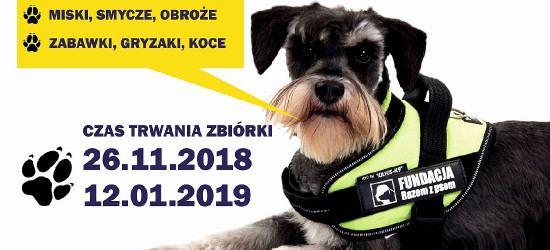 Podaj łapę! Akcja pomocy dla czworonogów