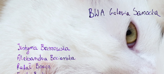 ,,Legowisko” w BWA Galerii Sanockiej