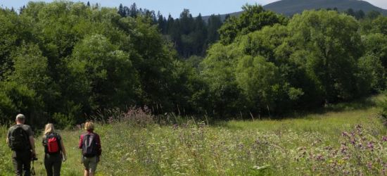 BIESZCZADY: Ścieżka niewymagająca, ale niezwykle ciekawa. Dlaczego? (ZDJĘCIA)