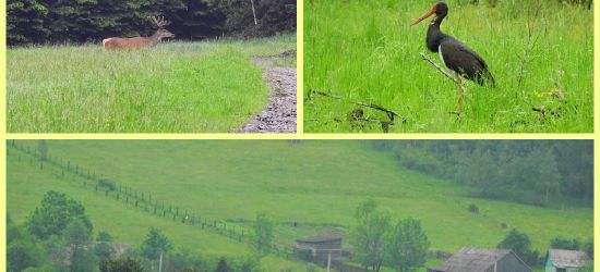 BIESZCZADY: W dolinach też jest pięknie! (ZDJĘCIA)