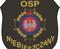 Powiatowy Turniej w Piłce Halowej w Niebieszczanach