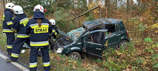 REGION. Ścięte drzewo, samochód w rowie. Dwie osoby ranne (ZDJĘCIA)