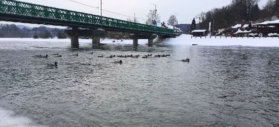 Gwałtowna zmiana. Po Nowym Roku nawet 8°C?