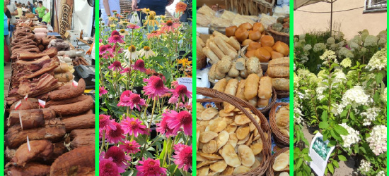 Smacznie, naturalnie, zdrowo, pięknie! Trwają AGROBIESZCZADY 2023! (VIDEO, FOTO)