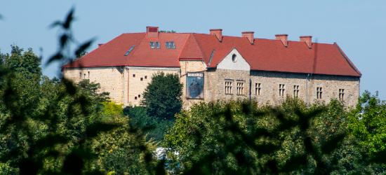 „Bliżej gwiazd – konstelacje i gromady”. Wystawa w Muzeum Historycznym