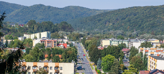 Sanok bez barier. Konferencja na rzecz integracji i wsparcia