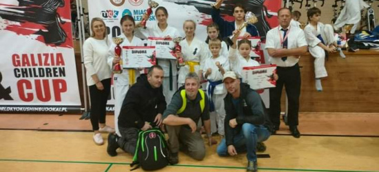 Medale zawodników Sanockiego Klubu Karate Kyokushin! (ZDJĘCIA)