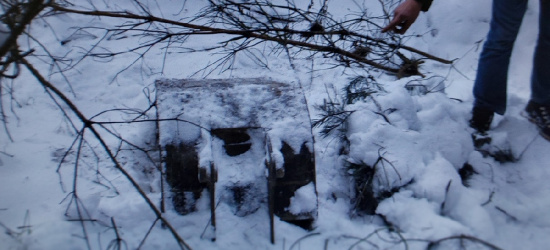 Skradzione przedmioty ukryli pod gałęziami