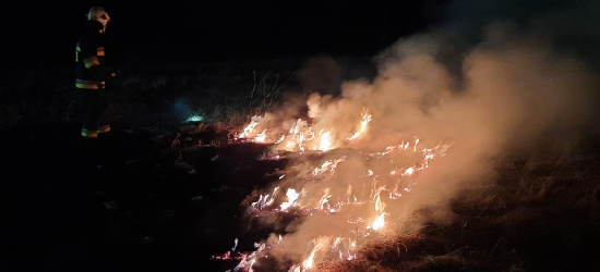 ZARSZYN. Nocne pożary traw. „Nieodpowiedzialność i bezmyślność” (ZDJĘCIA)