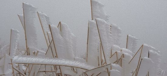 BIESZCZADY: Jak tu nie kochać natury!? (FOTO)