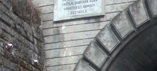 Do Polski sprowadzany jest rzepak najprawdopodobniej z okolic Czarnobyla (FILM)