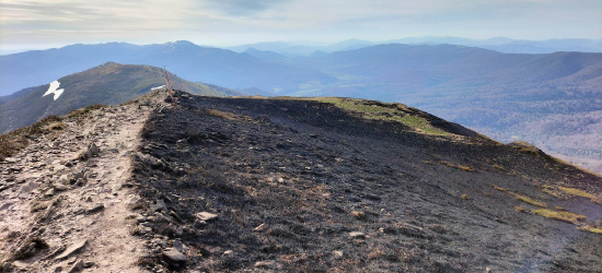 BIESZCZADY: Obszar pożaru okazał się mniejszy. Mamy video z akcji (FILM, ZDJĘCIA)