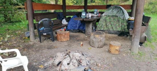 Rumuńscy grzybiarze w lasach. Zbierają na skalę przemysłową? (ZDJĘCIA)
