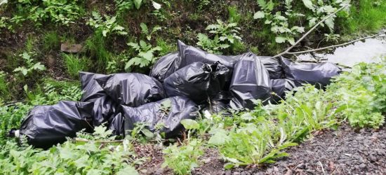 INTERWENCJA: Kilkanaście worków śmieci w dopływie Potoku Płowieckiego (ZDJĘCIA)