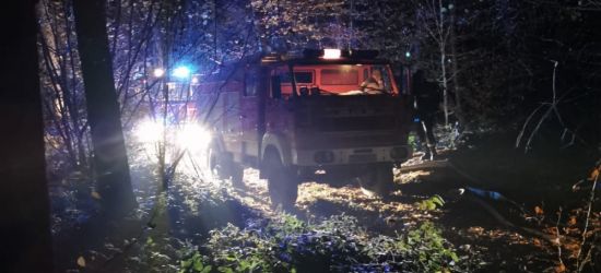 Pożar w lesie. Ogień gasiło blisko 40 strażaków (ZDJĘCIA)