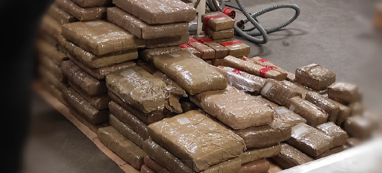 PODKARPACIE. W ciężarówce z mrożonkami przewoził 272 kg haszyszu! (ZDJĘCIA)