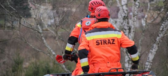 ZAGÓRZ: Poszukiwany mężczyzna odnaleziony w lesie. Nie żyje