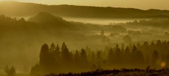 BIESZCZADY: Niezidentyfikowane zwłoki znaleziono w Sanie