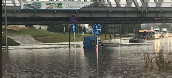 100 interwencji straży pożarnej. Ponad 7 tys. osób bez prądu. Najgorzej w Rzeszowie (ZDJĘCIA)