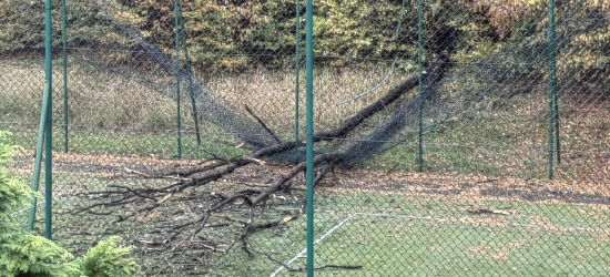Drzewo spadło na boisko szkolne! Komentarz władz