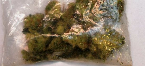 Marihuana, bursztyn i niezgłoszona gotówka (ZDJĘCIA)