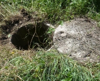 Studnia przy ulicy Stawiska niczym pułapka. Po interwencji można spacerować spokojnie (ZDJĘCIA)
