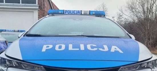 LESKO: Uszkodzili znaki i lustro. Policja poszukuje świadków