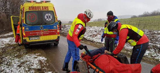 PIELNIA: Wypadek podczas ścinania drzewa (FOTO)