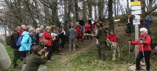 BIESZCZADY: Nowym szlakiem na Łopiennik (FOTO)