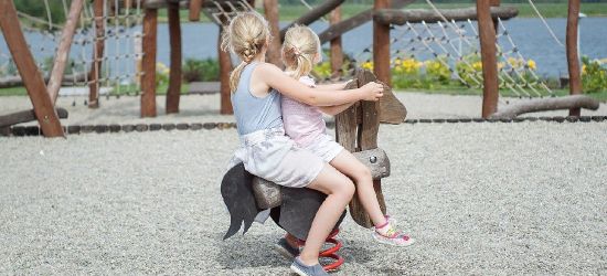 PODKARPACIE: Przyszedł na plac zabaw z maczetą. Groził dzieciom!