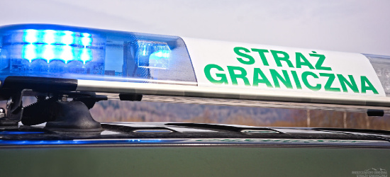 GRANICA: Bez uprawnień i z fałszywką