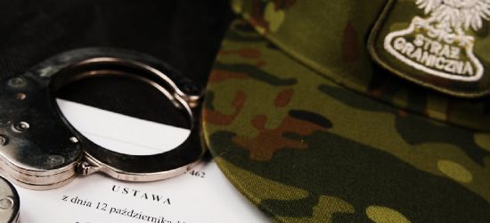 Poszukiwany przestępca zatrzymany na granicy