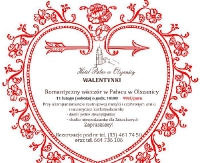 Romantyczny wieczór w Pałacu w Olszanicy