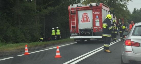AKTUALIZACJA: Samochód uderzył w drzewo. Kierowca zmarł (ZDJĘCIA)