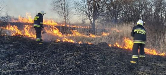 Pierwsze pożary suchej trawy (ZDJĘCIA)