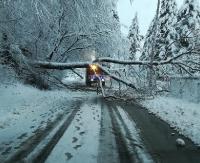BIESZCZADY / SANOK: Ponad 7 tys. odbiorców bez prądu! Ciężki śnieg zrywa linie, łamie drzewa (ZDJĘCIA)