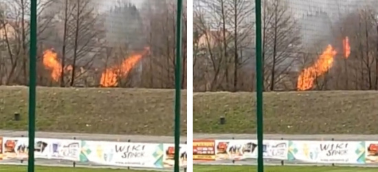 SANOK. Pożar altanki na Posadzie (VIDEO)