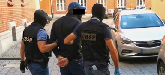 Pieniądze w pralce! Zabezpieczono 7 luksusowych samochodów (VIDEO, ZDJĘCIA)