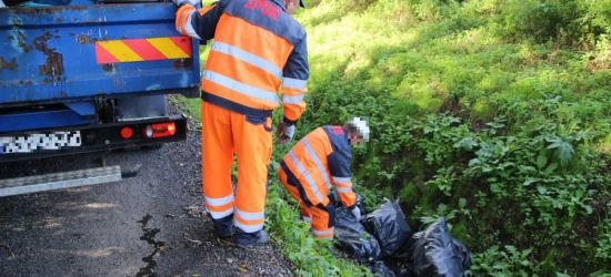 INTERWENCJA: Garnki, odzież, plecak i materiały budowlane. To znaleziono w śmieciach (ZDJĘCIA)