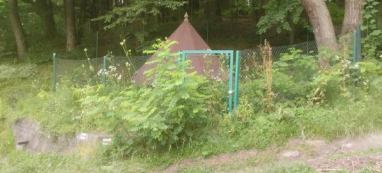 SANOK. Studnia, ale czy królewska? „Przykry widok” (ZDJĘCIA)