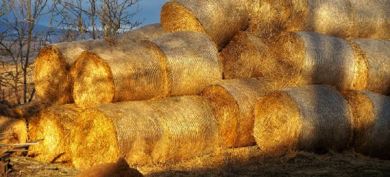 REGION: Podpalone bale siana. Sprawcami trzech nastolatków