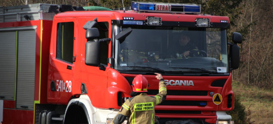 Problemy z numerem alarmowym 112. Przeciążenie, mnóstwo zgłoszeń