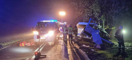 POLSKA112 : Tragiczny wypadek. Nie żyją trzy osoby, w tym dziecko (ZDJĘCIA)