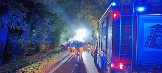 Koszmarny wypadek! Auto uderzyło w drzewo i spłonęło. Śmierć 4 młodych osób (FOTO)
